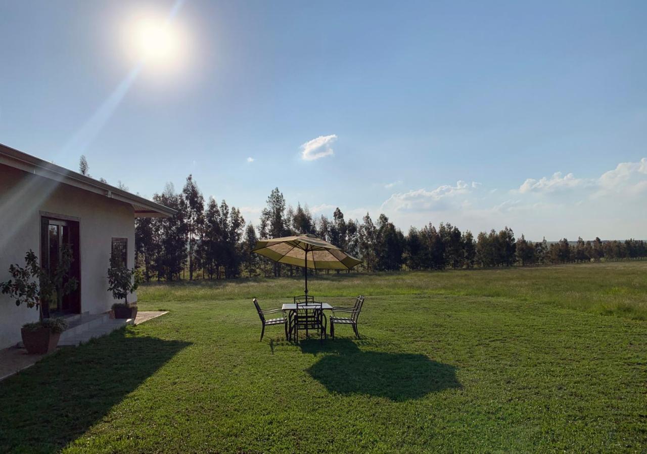 Merino Stal Guest Farm Ermelo Exterior foto